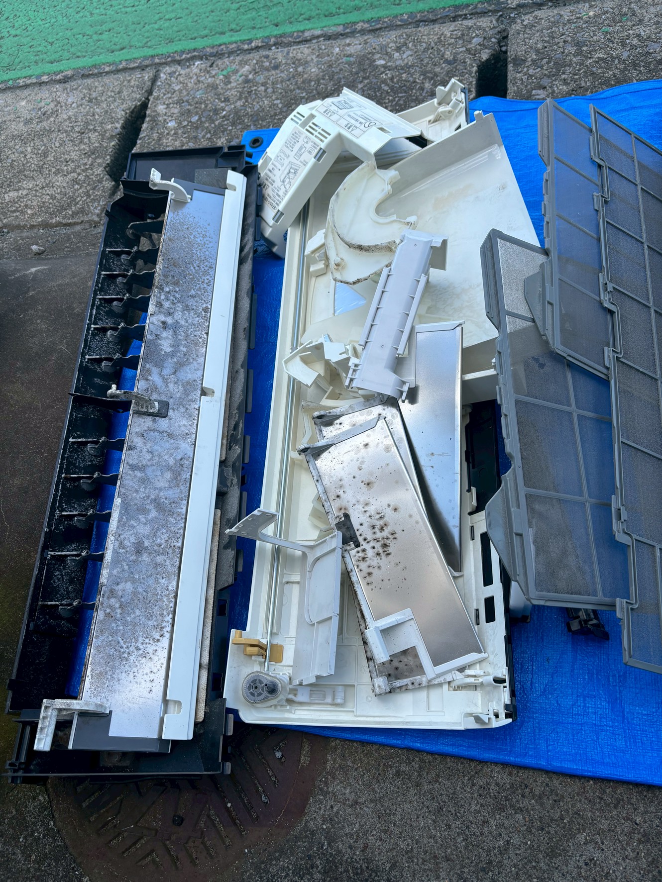 内部に付着したカビの一例