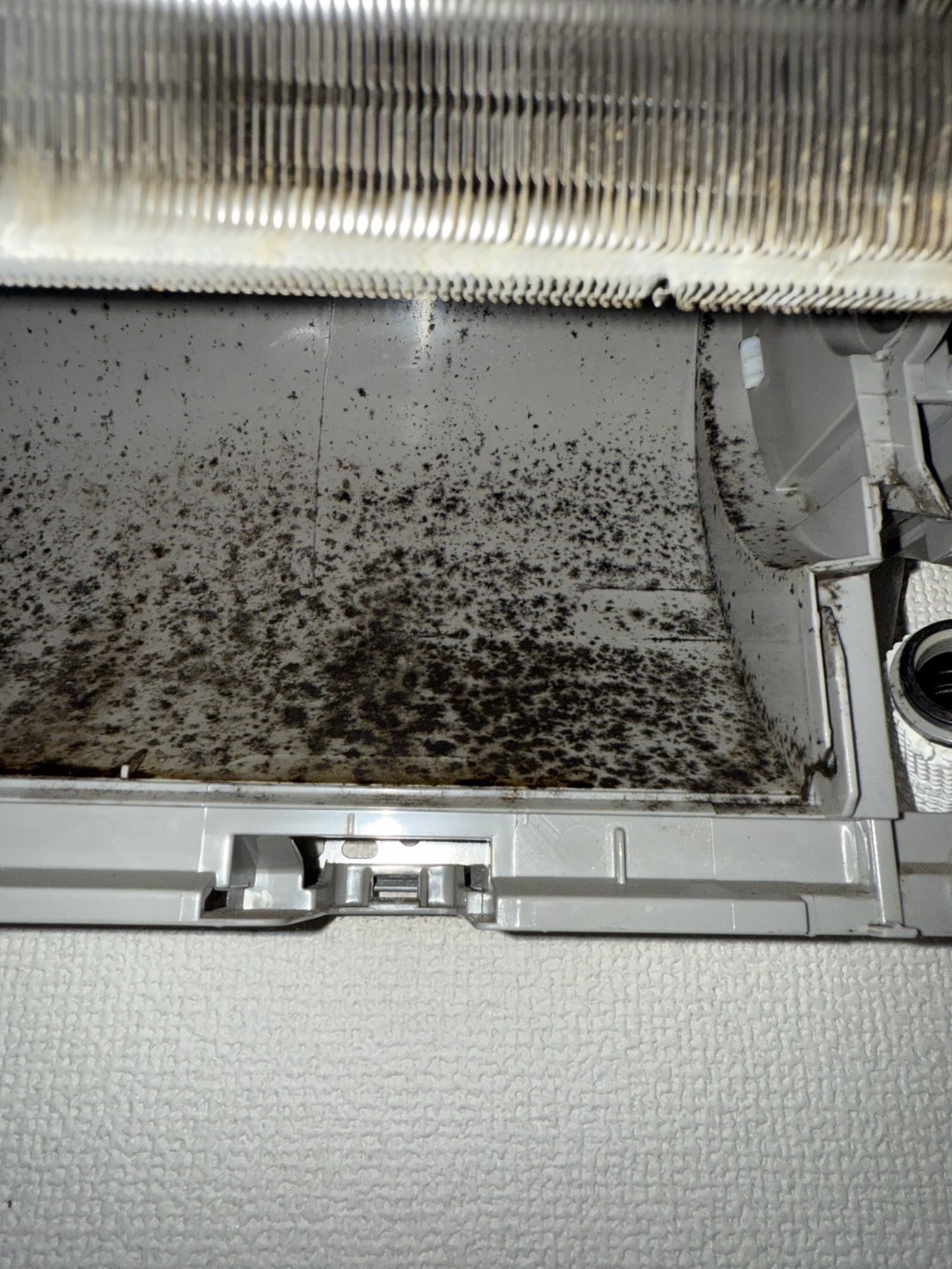 洗浄途中の比較