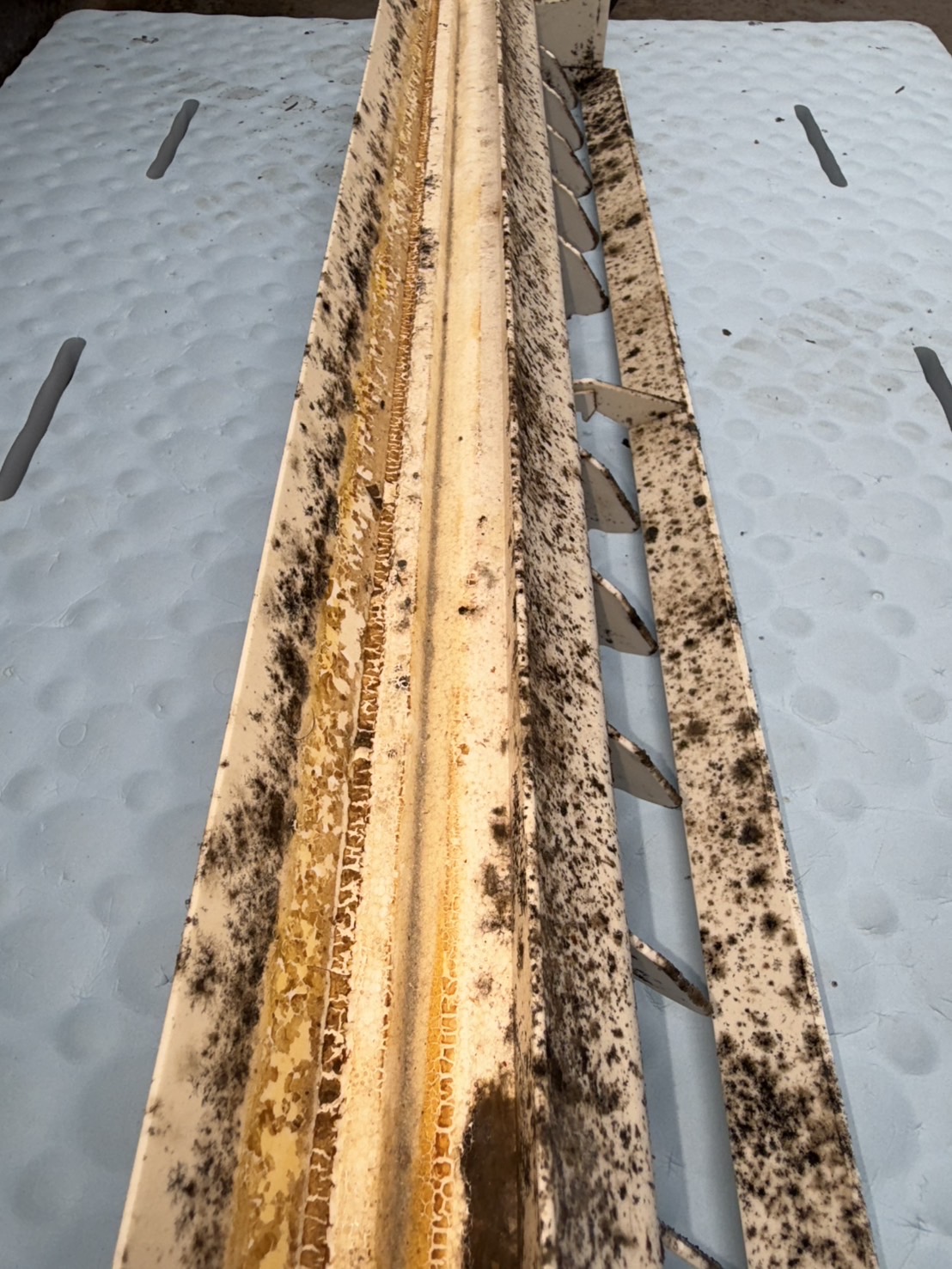 施工前の内部状態