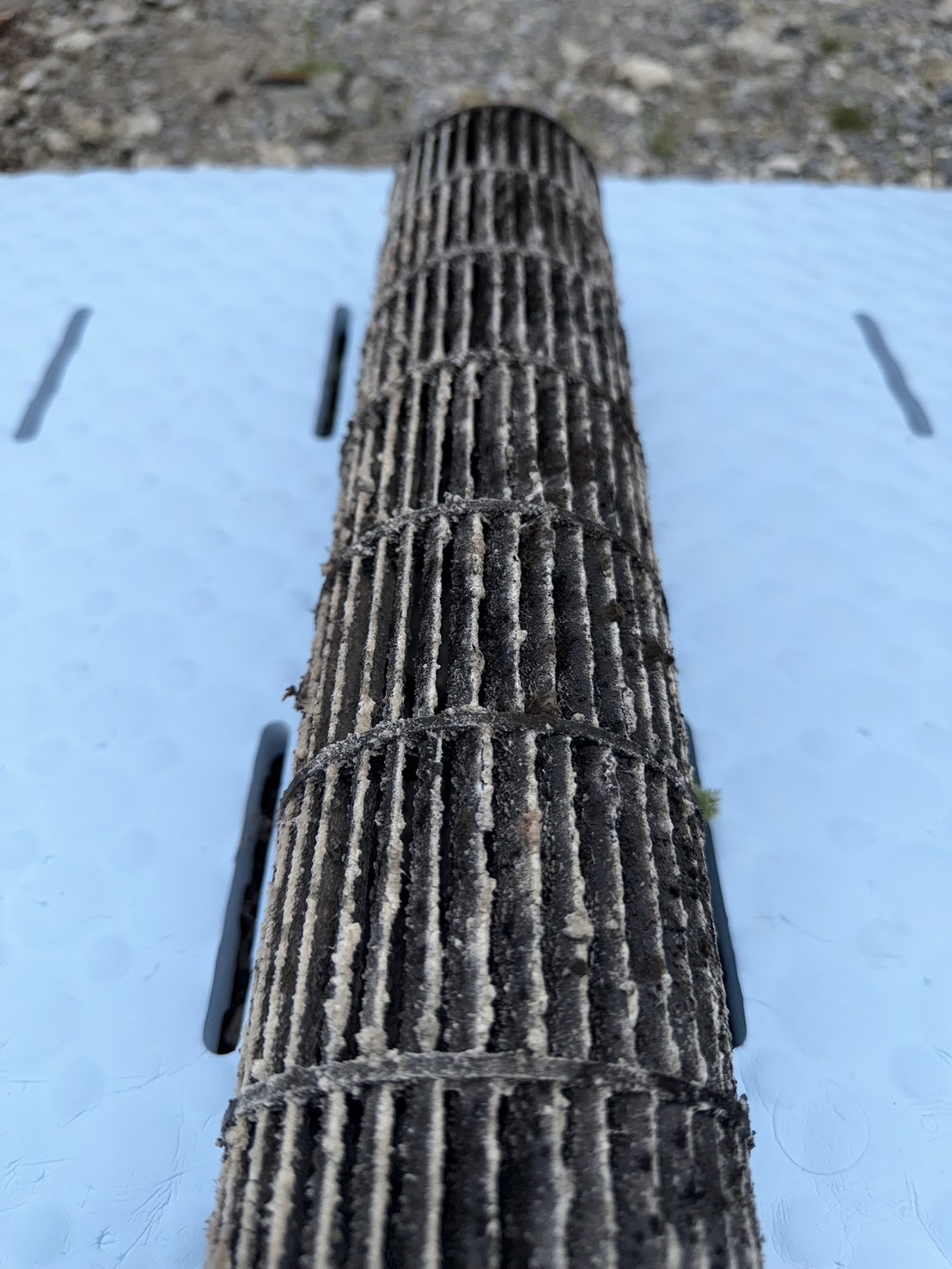 送風ファンの施工前。ホコリやカビが付着し、風の通り道が狭くなっていた状態