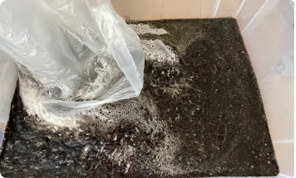 クリーニング後の真っ黒な水