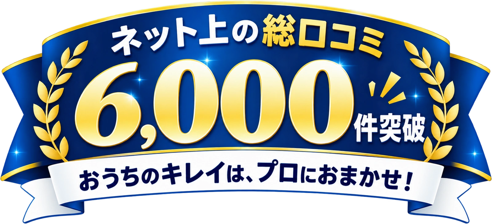ネット上の総口コミ6,000件突破。おうちのキレイは、プロにおまかせ！
